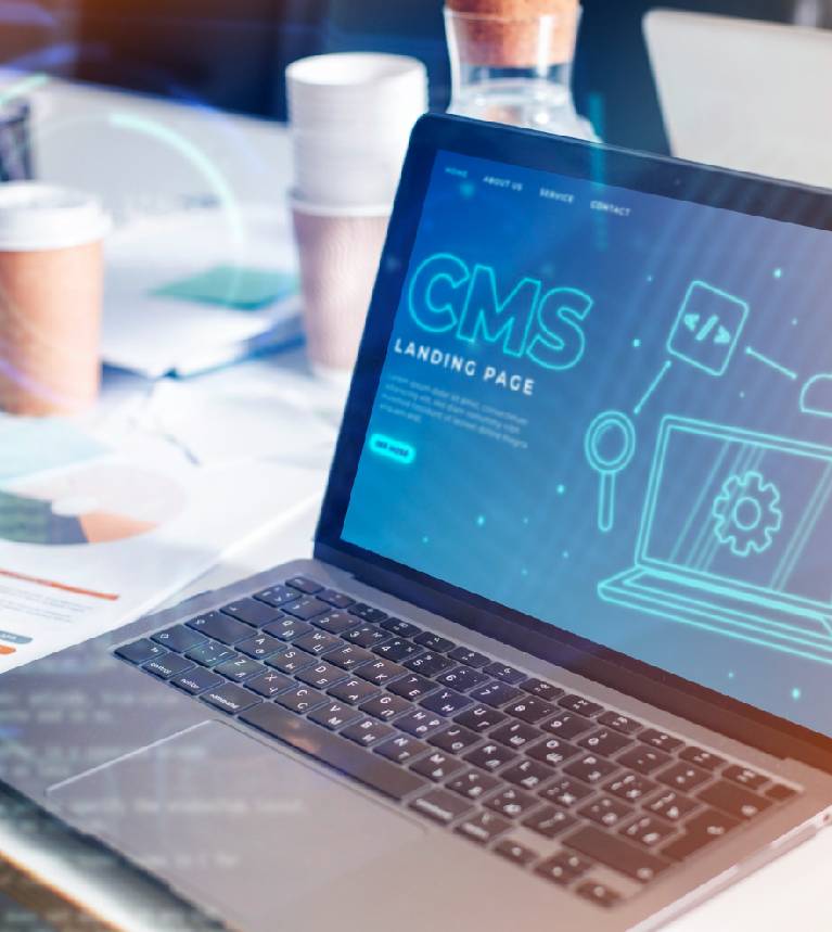CMS Sites Development