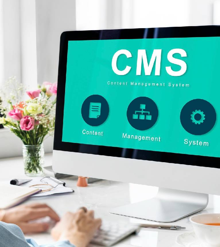 CMS Sites Development