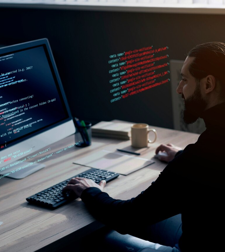 .Net Web Development